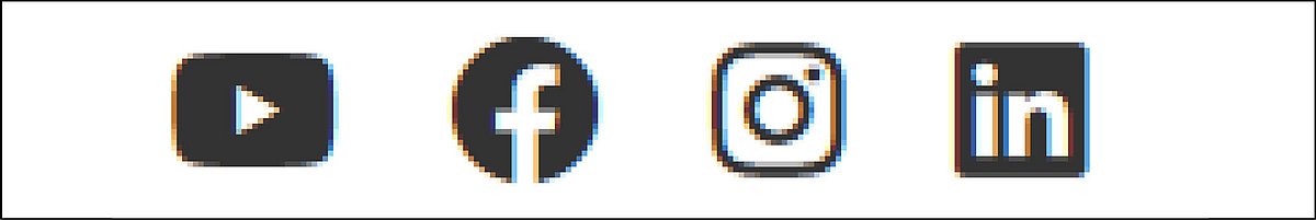 Ausschnitt MVHS-Website: Symbole für YouTube, Facebook, Instagram, LinkedIn