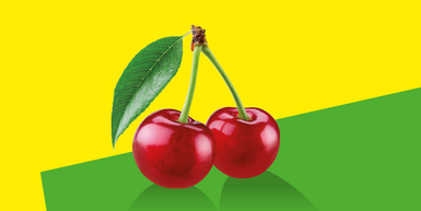 Zwei rote Kirschen vor gelb-grünem Hintergrund